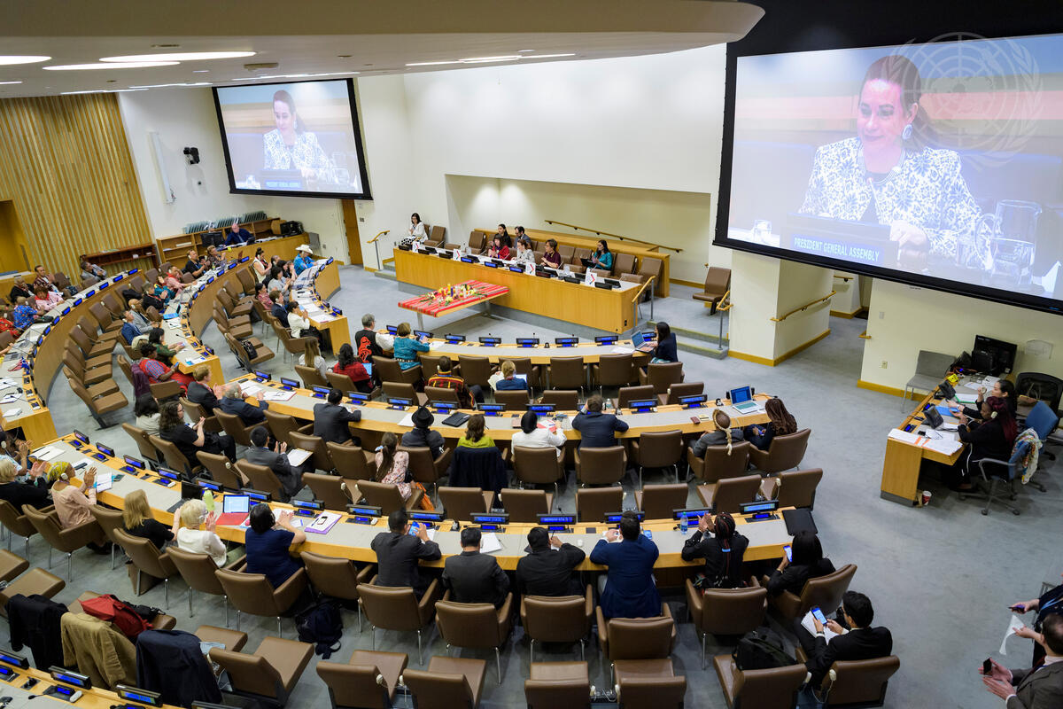 United Nations Advocacy